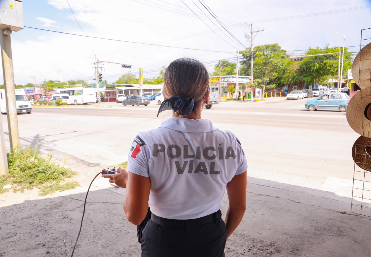 Agente vial